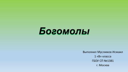 Богомолы Выполнил Муслимов Исмаил 1 «В» класса ГБОУ СП 1381 г. Москва.