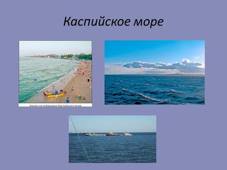 Каспийское море. Географическое положение. Каспийское море расположено на стыке двух частей Евразийского континента Европы и Азии.
