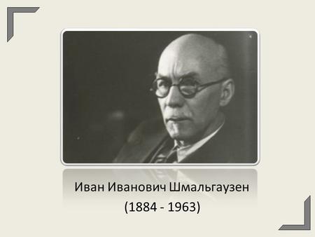 Иван Иванович Шмальгаузен
