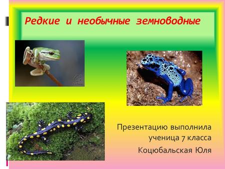 Редкие и необычные земноводные Презентацию выполнила ученица 7 класса Коцюбальская Юля.