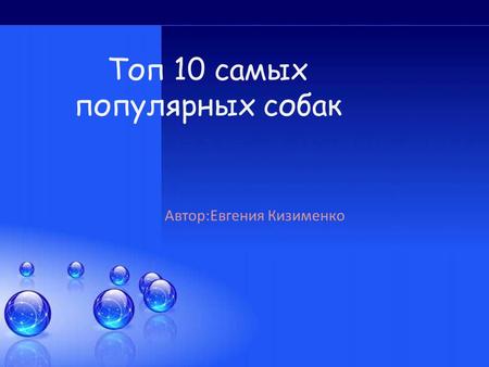Топ 10 самых популярных собак Автор:Евгения Кизименко.