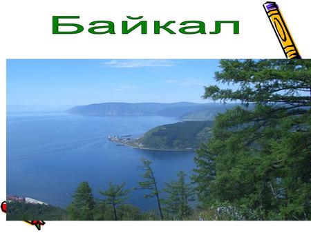 Озеро Байкал распаложенно в южной части Восточной Сибири. Узкая и вытянутая котловина озера зажата между высокими горами. На западе её окаймляют Приморский.