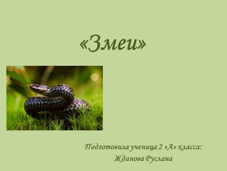 «Змеи» Подготовила ученица 2 «А» класса: Жданова Руслана.