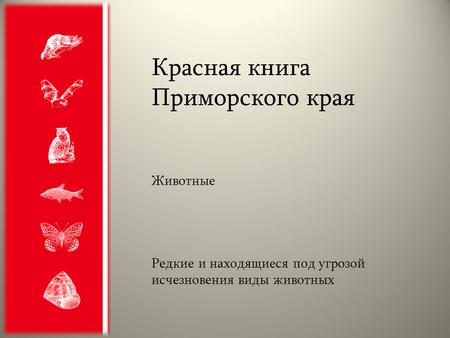 Красная книга Приморского края Животные Редкие и находящиеся под угрозой исчезновения виды животных.