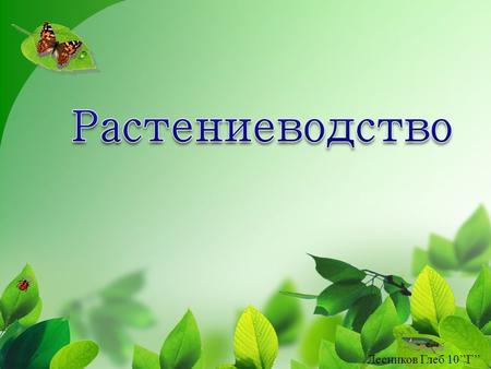Лесников Глеб 10 Г. РАСТЕНИЕВОДСТВО - это отрасль сельского хозяйства, выращивание культурных растений.