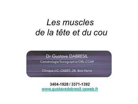 Les muscles de la tête et du cou 3404-1928 / 3371-1392 www.gustavedabresil.vpweb.fr.