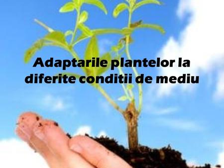 Adaptarile plantelor la diferite conditii de mediu.