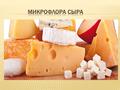 Поступление микрофлоры в сыр из внешних источников ограничено коротким периодом его производства до формирования. После формования сыра все изменения.