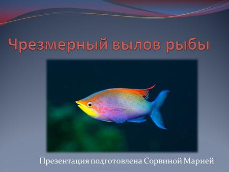 Презентация подготовлена Сорвиной Марией. Определение Чрезмерный вылов рыбы практика рыболовства, не обеспечивающая устойчивого состояния рыбных популяций.