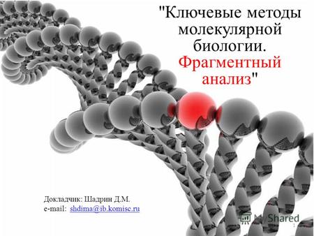 Ключевые методы молекулярной биологии. Фрагментный анализ 1 Докладчик: Шадрин Д.М. е-mail: shdima@ib.komisc.rushdima@ib.komisc.ru.