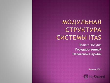 Проект ITAS для Государственной Налоговой Службы Бишкек 2011.
