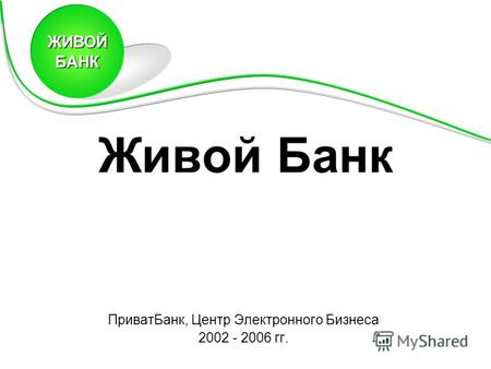 Живой Банк ПриватБанк, Центр Электронного Бизнеса 2002 - 2006 гг. ЖИВОЙБАНК.