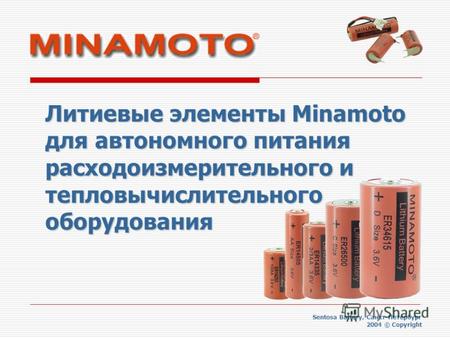 Литиевые элементы Minamoto для автономного питания расходоизмерительного и тепловычислительного оборудования Sentosa Battery, Санкт-Петербург 2004 © Copyright.