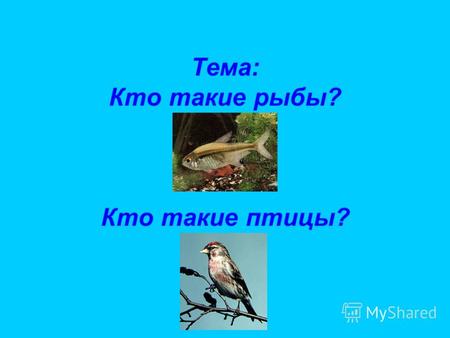 Тема: Кто такие рыбы? Кто такие птицы?. Цели урока 1. ознакомить с особенностями внешнего вида и жизнеобитания рыб и птиц 2. определить их родственные.