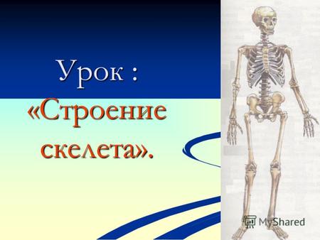 Урок : «Строение скелета».. Целеполагание урока: Выявить значение опорно-двигательной системы (ОДС), познакомиться с особенностями строения скелета, связанными.