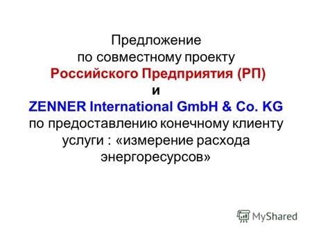 Предложение по совместному проекту Российского Предприятия (РП) и ZENNER International GmbH & Co. KG по предоставлению конечному клиенту услуги : «измерение.