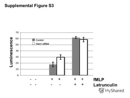 FMLP Latrunculin - - + + + + - - - - + + Control Hem1 siRNA Luminescence Supplemental Figure S3.