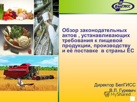 Обзор законодательных актов, устанавливающих требования к пищевой продукции, производству и её поставке в страны ЕС Директор БелГИСС В.Л. Гуревич.