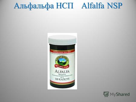 Альфальфа НСП Alfalfa NSP. Состав – 1 капсула: Люцерна (Medicago sativa)… 340 мг.