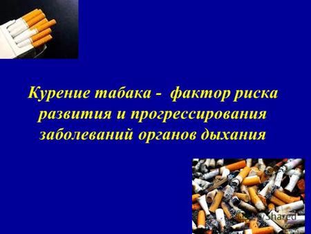 Курение табака - фактор риска развития и прогрессирования заболеваний органов дыхания.
