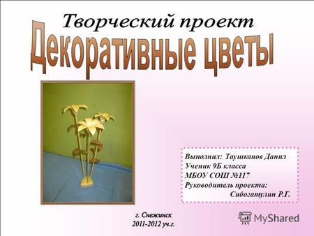 Выполнил: Таушканов Данил Ученик 9Б класса МБОУ СОШ 117 Руководитель проекта: Сибогатулин Р.Г.