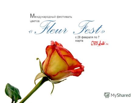 « Fleur Fest » с 28 февраля по 7 марта М еждународный фестиваль цветов.ru.