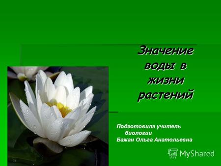 Значение воды в жизни растений Подготовила учитель биологии Бажан Ольга Анатольевна.