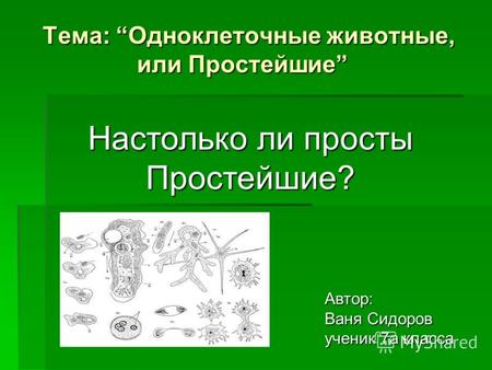 Тема: Одноклеточные животные, или Простейшие Автор: Ваня Сидоров ученик 7а класса Настолько ли просты Простейшие?