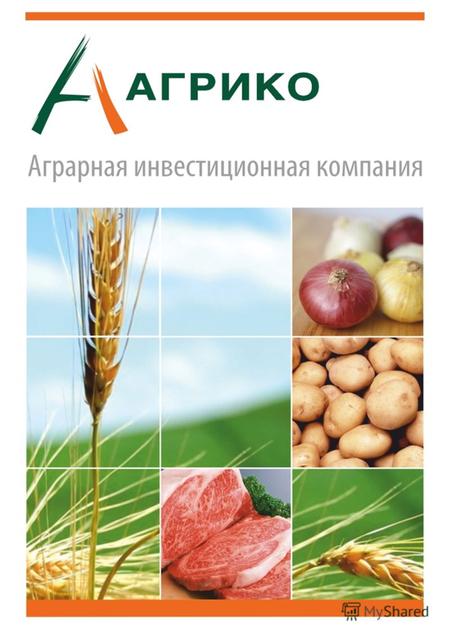 О КОМПАНИИ ООО «Аграрная инвестиционная компания «Агрико» - одна из самых динамично развивающихся крупных холдинговых структур аграрной отрасли России.