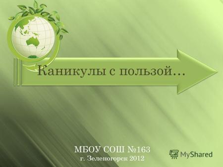 Каникулы с пользой… МБОУ СОШ 163 г. Зеленогорск 2012.