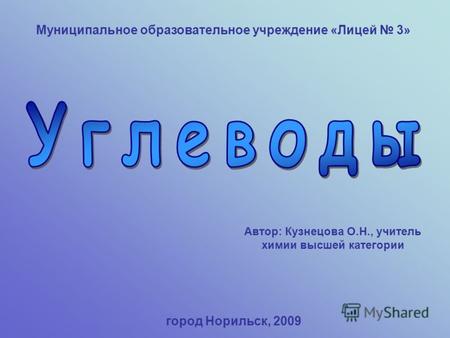 Муниципальное образовательное учреждение «Лицей 3» Автор: Кузнецова О.Н., учитель химии высшей категории город Норильск, 2009.