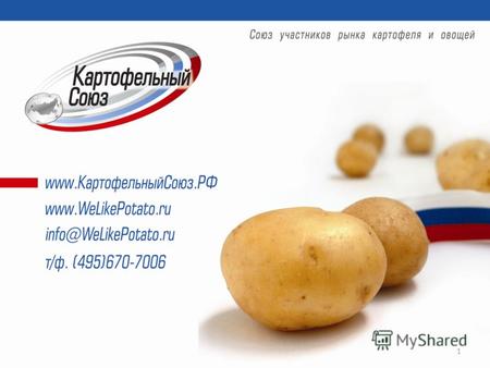 1 Обязательства РФ по импортным пошлинам в ВТО (картофель и овощи) Наименование продукта (переходной период)