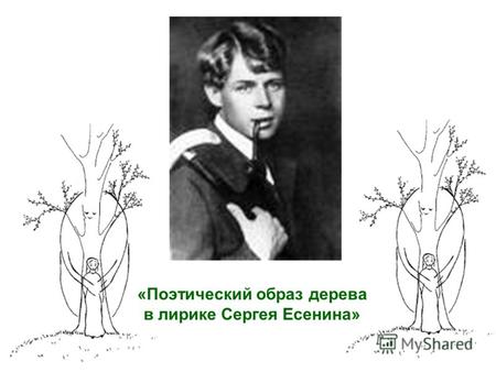 «Поэтический образ дерева в лирике Сергея Есенина»