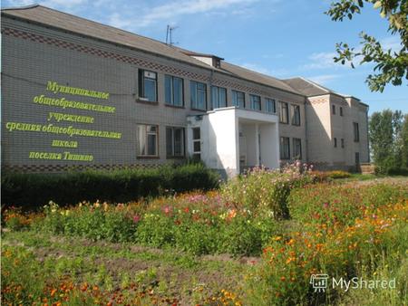 муниципального общеобразовательного учреждения средней общеобразовательной школы поселка Тишино за 2010-2011 учебный год, расположенного по адресу: Калининградская.