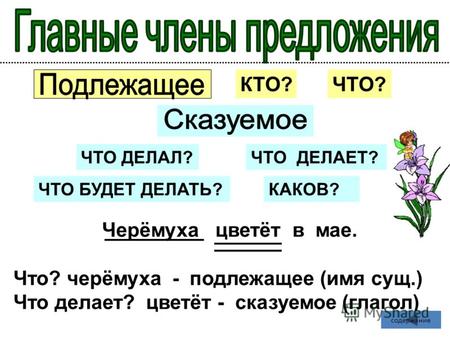 Черёмуха цветёт в мае. Что? черёмуха - подлежащее (имя сущ.) Что делает? цветёт - сказуемое (глагол) КТО?ЧТО? ЧТО ДЕЛАЛ?ЧТО ДЕЛАЕТ? ЧТО БУДЕТ ДЕЛАТЬ?КАКОВ?