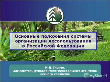 1 Основные положения системы организации лесопользования в Российской Федерации М.Д. Гиряев, Заместитель руководителя Федерального агентства лесного хозяйства.