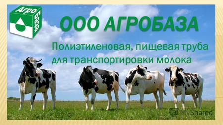 ООО АГРОБАЗА Полиэтиленовая, пищевая труба для транспортировки молока.