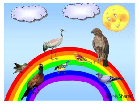 Семь цветов радуги Игровой тестО программе Семь цветов радуги. Игровой тест. О программе. 900igr.net.
