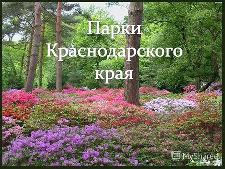 Это один из старейших заповедников в России и один из крупнейших горно-лесных заповедников в Европе. Сегодня общая площадь заповедника составляет более.