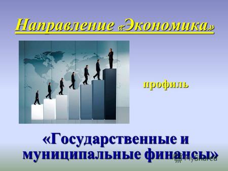 Направление « Экономика » профиль профиль «Государственные и муниципальные финансы»