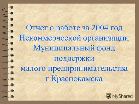 Отчет о работе за 2004 год Некоммерческой организации Муниципальный фонд поддержки малого предпринимательства г.Краснокамска.