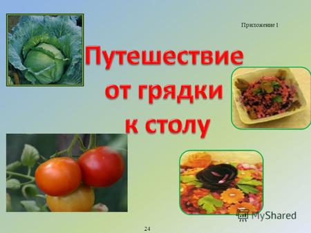 Приложение 1 24. Загадки с грядки На какие группы можно разделить овощные культуры?