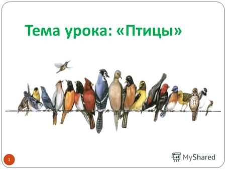 Тема урока : « Птицы » 1. Голова Крылья Ноги Хвост Тело Строение птицы 2.