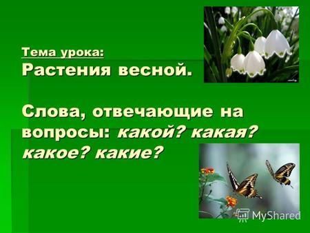 Тема урока: Растения весной. Слова, отвечающие на вопросы: какой? какая? какое? какие?