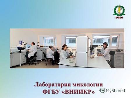 Лаборатория микологии ФГБУ «ВНИИКР». В настоящее время в лаборатории работают 4 сотрудника. Ольга Валентиновна Скрипка – заведующая лабораторией, кандидат.