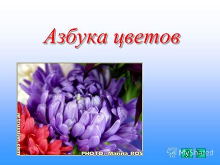 Азбука цветов. Родился ландыш в майский день, И лес его хранит; Мне кажется его задень – Он тихо зазвенит. И этот звон услышат луг, И птицы, и цветы Давай.