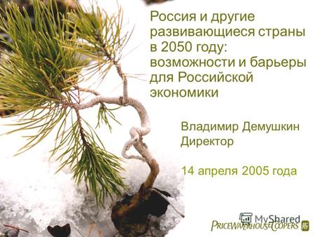 Россия и другие развивающиеся страны в 2050 году: возможности и барьеры для Российской экономики Владимир Демушкин Директор 14 апреля 2005 года.