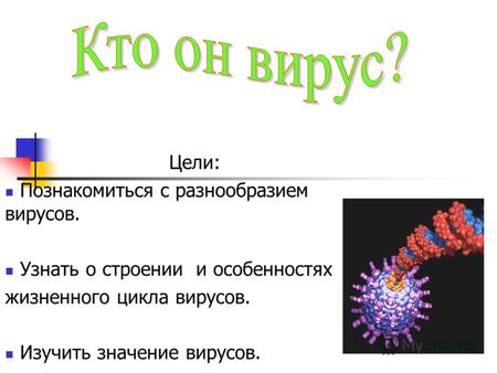 Цели: Познакомиться с разнообразием вирусов. Узнать о строении и особенностях жизненного цикла вирусов. Изучить значение вирусов.
