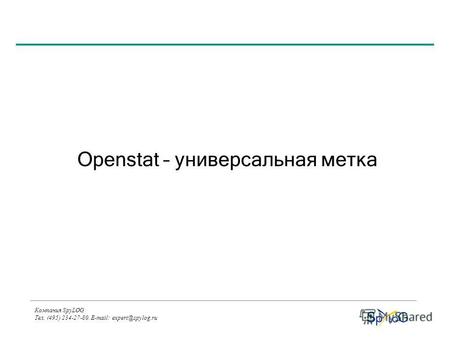 Компания SpyLOG Тел. (495) 234-27-80. E-mail: expert@spylog.ru Openstat – универсальная метка.
