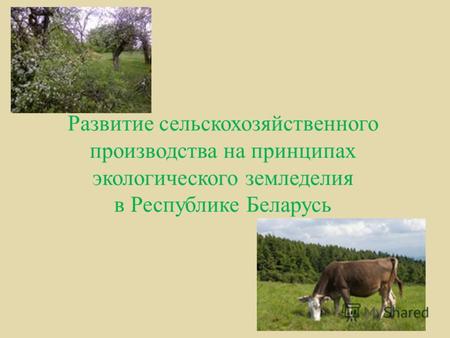 Развитие сельскохозяйственного производства на принципах экологического земледелия в Республике Беларусь.